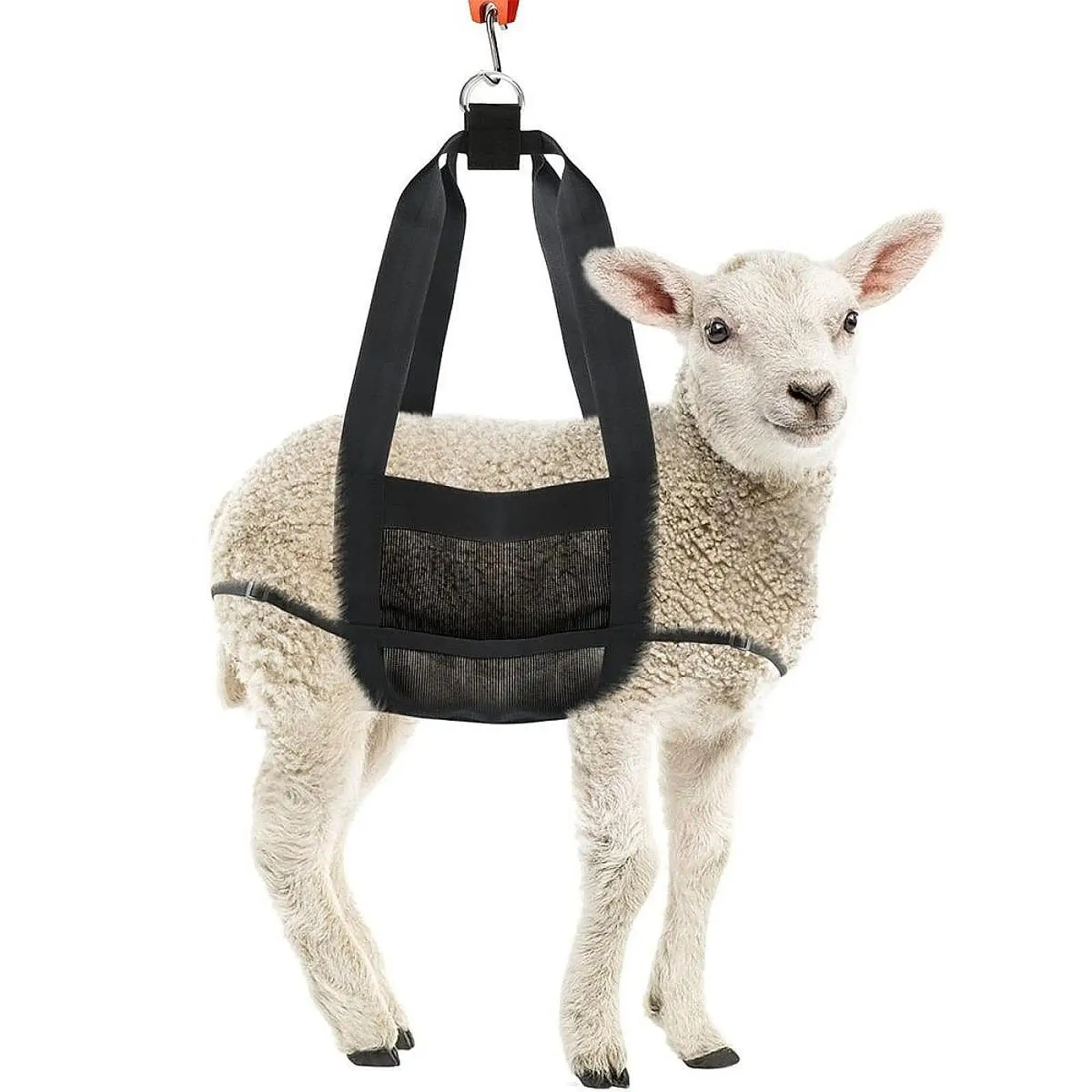 Calf Sling for Weighing Animals Livestock Sling Livestock Weighing Strap Hanging Scale Sling for Pigs Dogs Small Alpacas Sheep Calf Sling for Weighing Animals Livestock Sling Livestock Weighing Strap Hanging Scale Sling for Pigs Dogs Small Alpacas Sheep