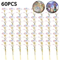 60PCS