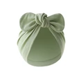 Matcha color