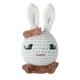 rabbit-1