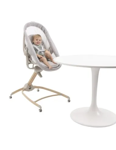 Chicco Moisés bebé Baby Hug Armonia multifunción - imagen 4