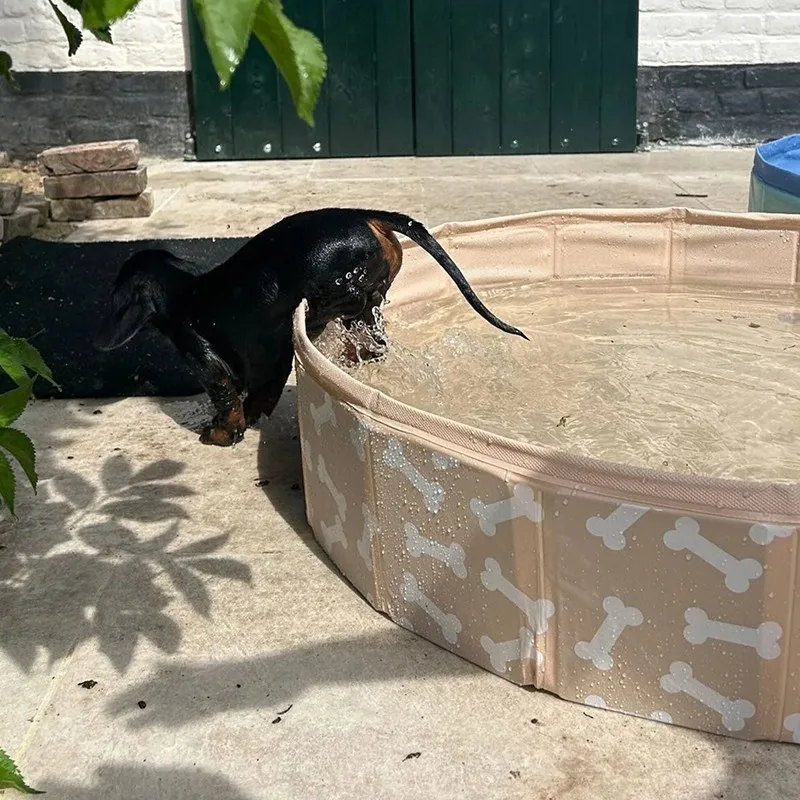 Swim Essentials piscina para perros en forma de huesos beige - imagen 5