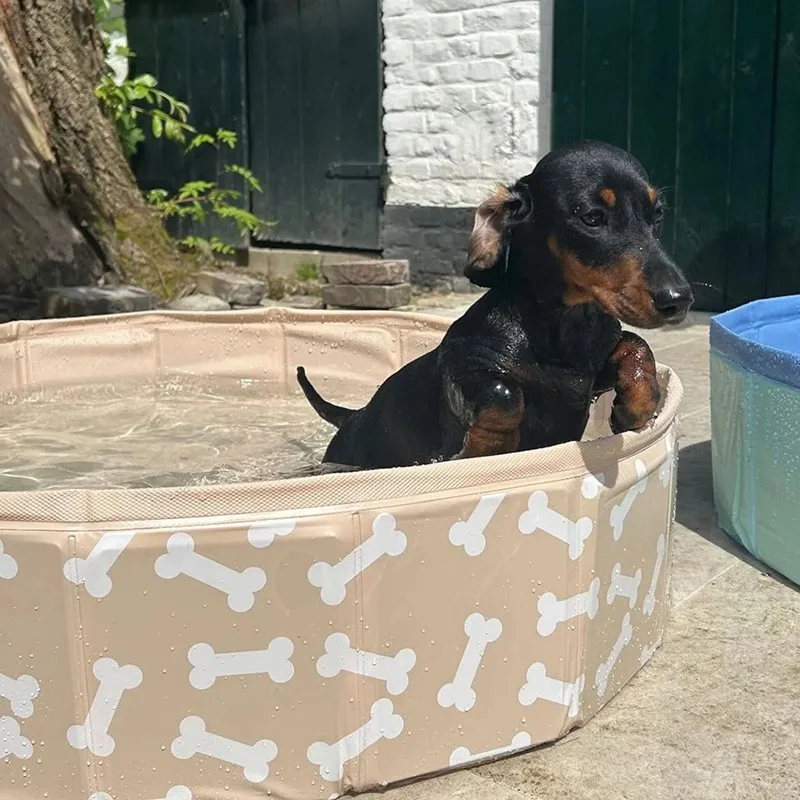 Swim Essentials piscina para perros en forma de huesos beige - imagen 4