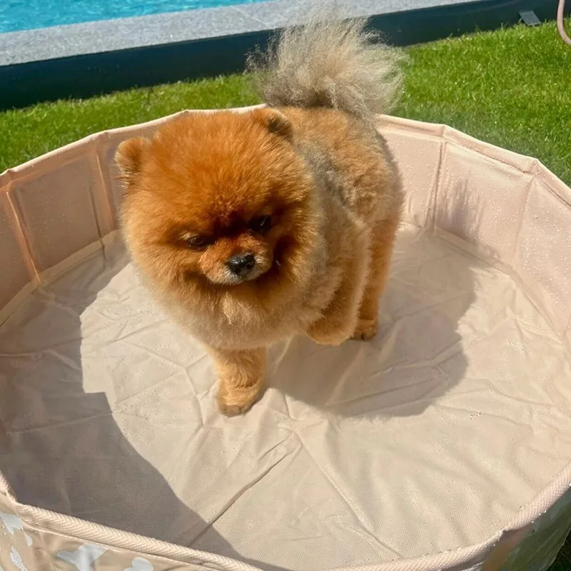 Swim Essentials Piscina hinchable para perros de huesos beige - imagen 3