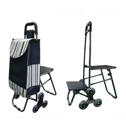 Carrito multiusos para subir escaleras con asiento plegable - Hogar