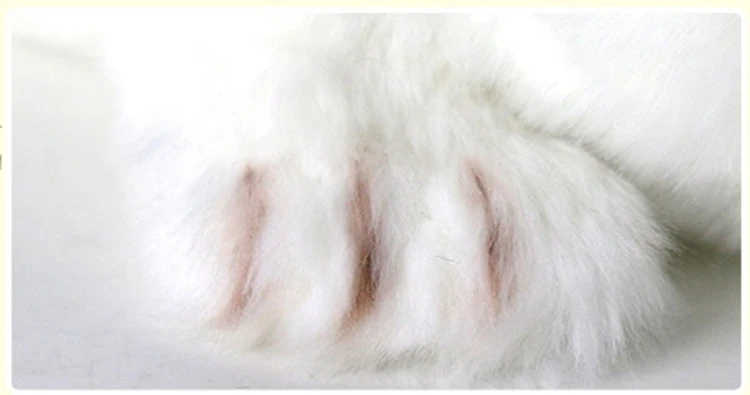 Vista del peluche y su forma