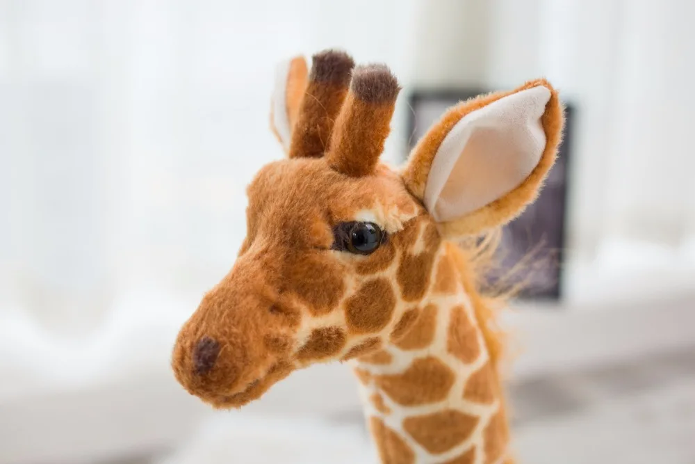 Animal relleno suave para regalo de cumpleaños