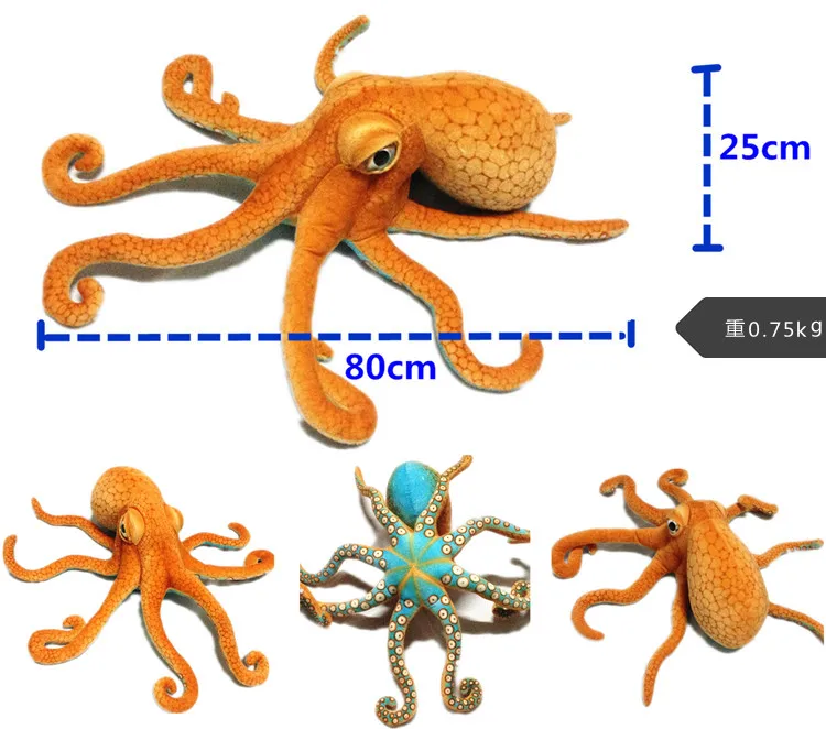 Detalle del pulpo y el fondo marino