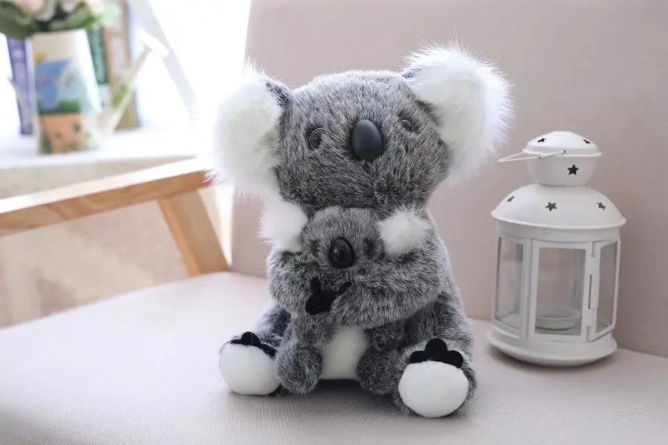 Conjunto koala mamá e hijo