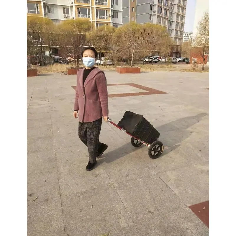 Carrito remolque para bicicleta 2 en 1 con ruedas de goma no inflables - imagen 4
