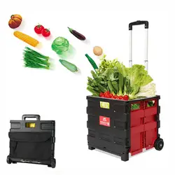 Carrito infantil con ruedas de goma y asas ajustables