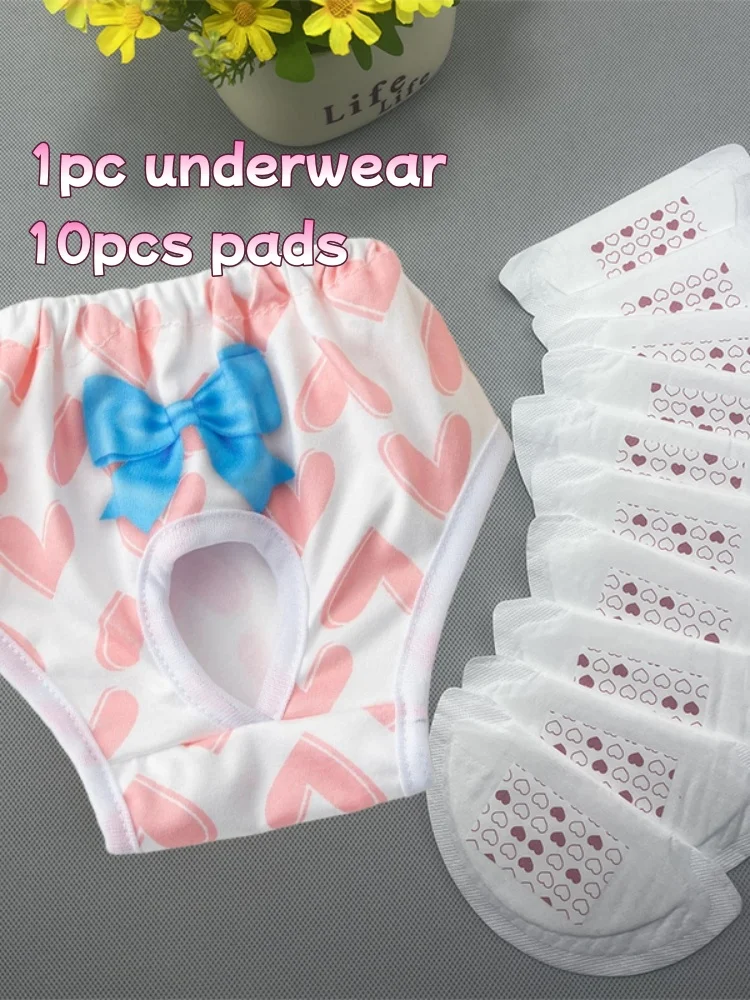 Conjunto de piezas y accesorios incluidos