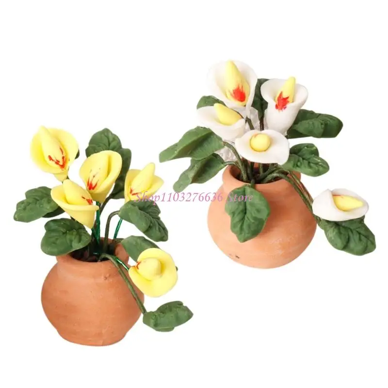 Planta miniatura tipo cala para decoración