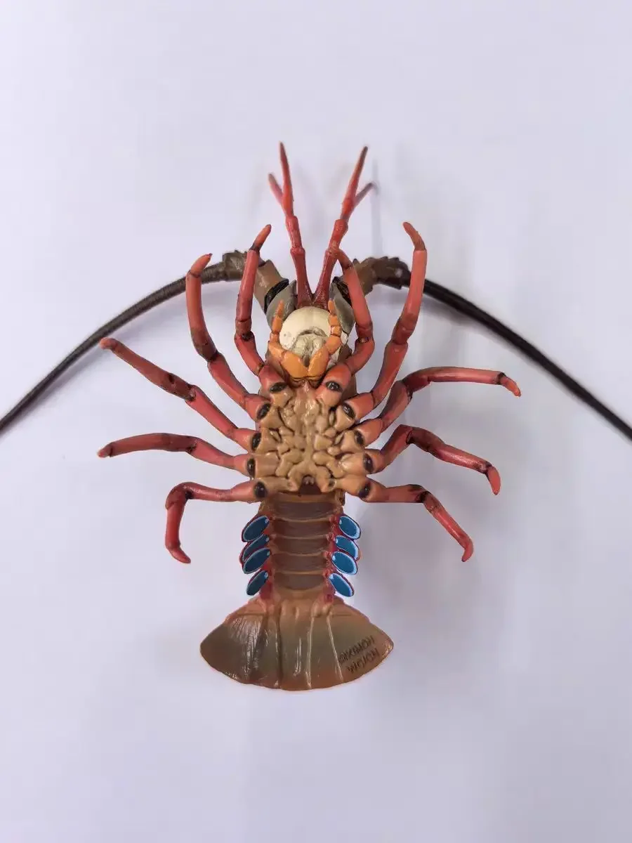 Figuras cápsula Ikimon: criaturas coleccionables de naturaleza japonesa - imagen 5
