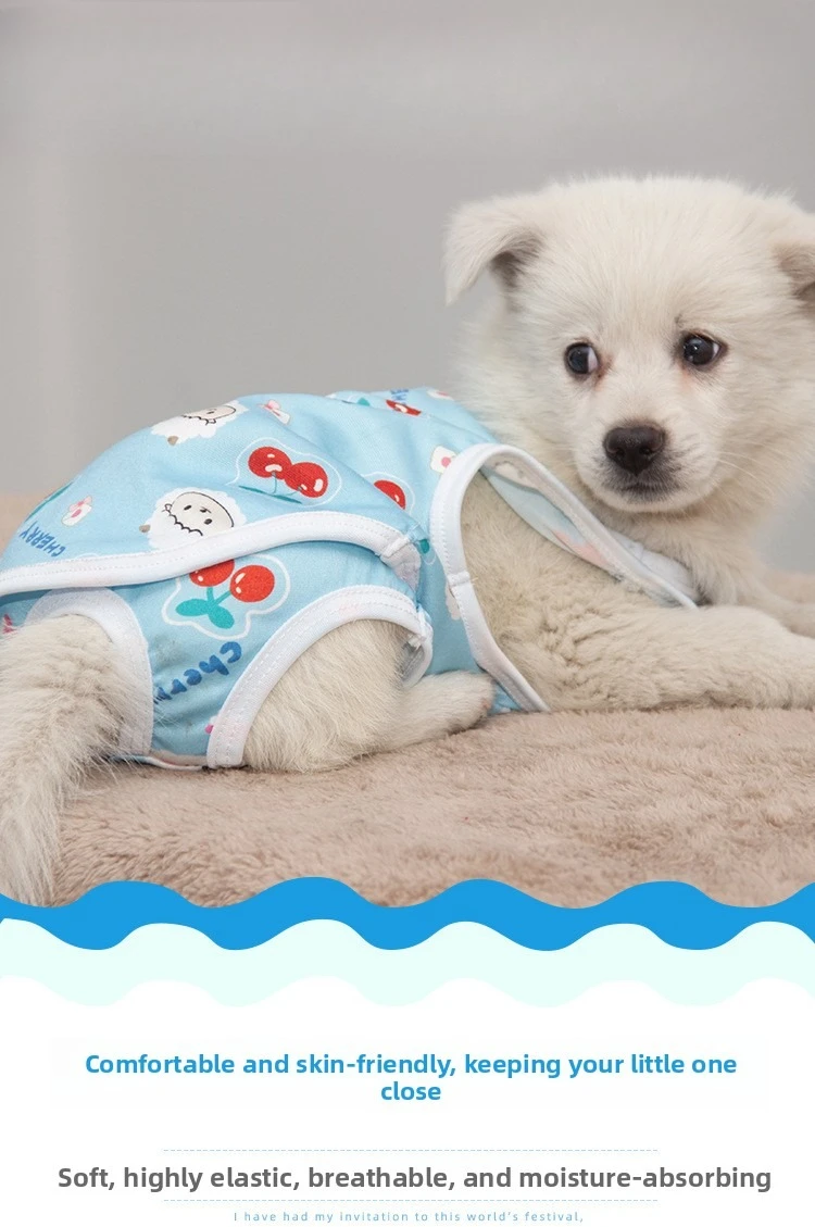 Pantalones sanitarios estampados para perros