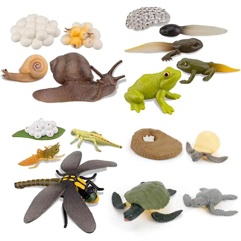 Figuras de ciclo de vida animal con colores vibrantes y detalles realistas