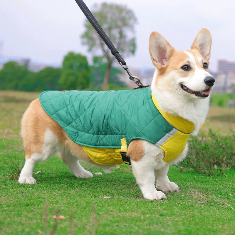 Abrigo de invierno para perros reflectante de algodón grueso - imagen 2