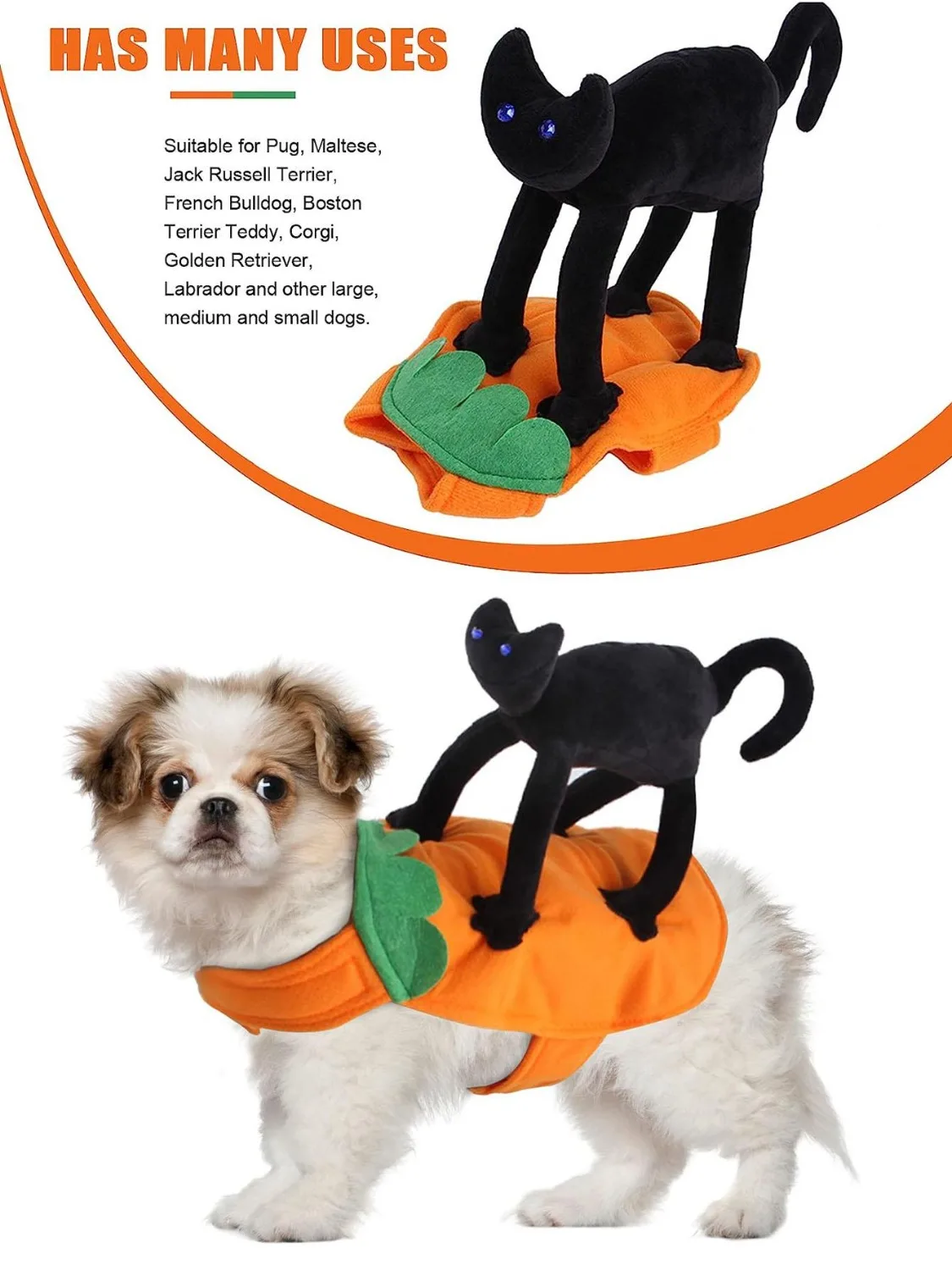 Disfraz Halloween calabaza para perros y gatos - imagen 3