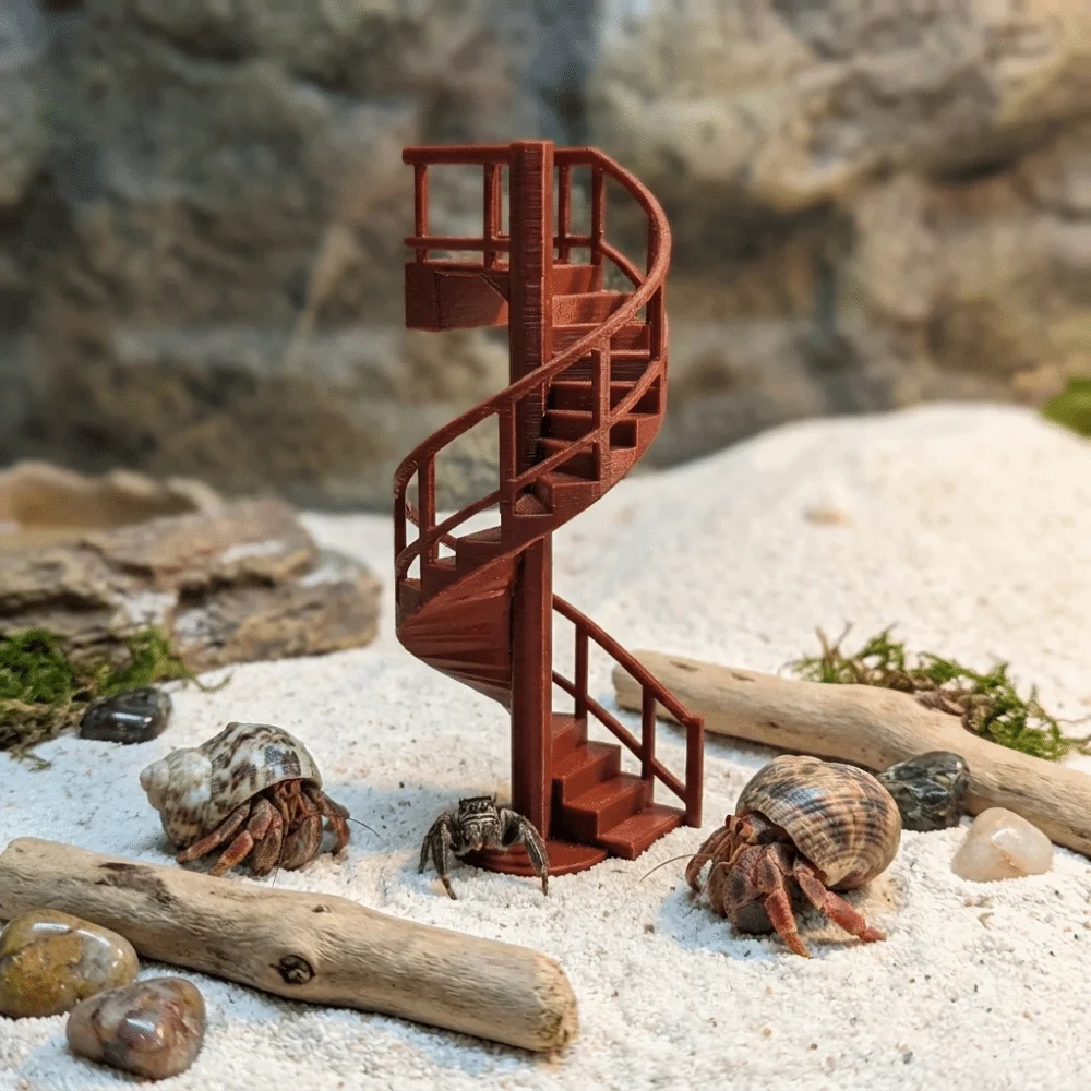 Escalera magnética para arañas saltadoras: recinto de escalada - imagen 4