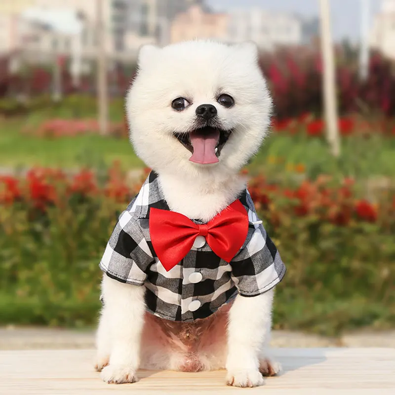 Camisa de cuadros para mascotas, traje nupcial elegante - imagen 2