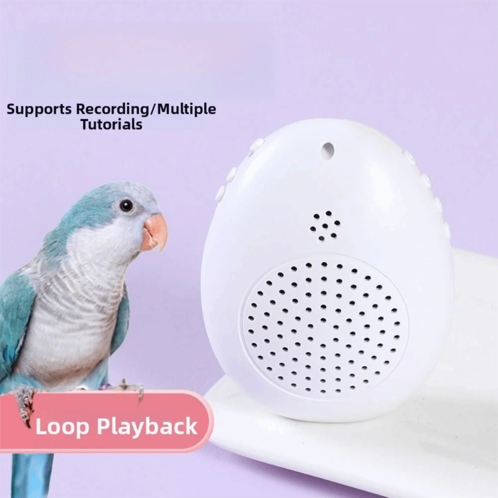 Juguete interactivo con grabación de aves y temporizador