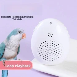 Juguete interactivo con grabación de aves y temporizador