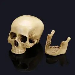 Estatua calavera gótica de resina tallada a mano para hogar