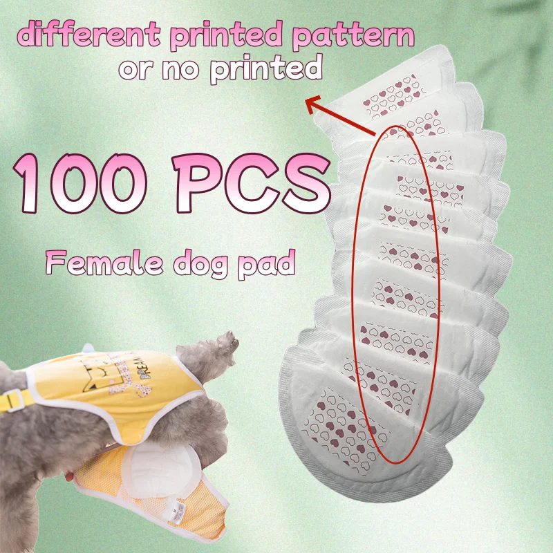Pañales desechables para perras hembras – Cómodos y absorbentes