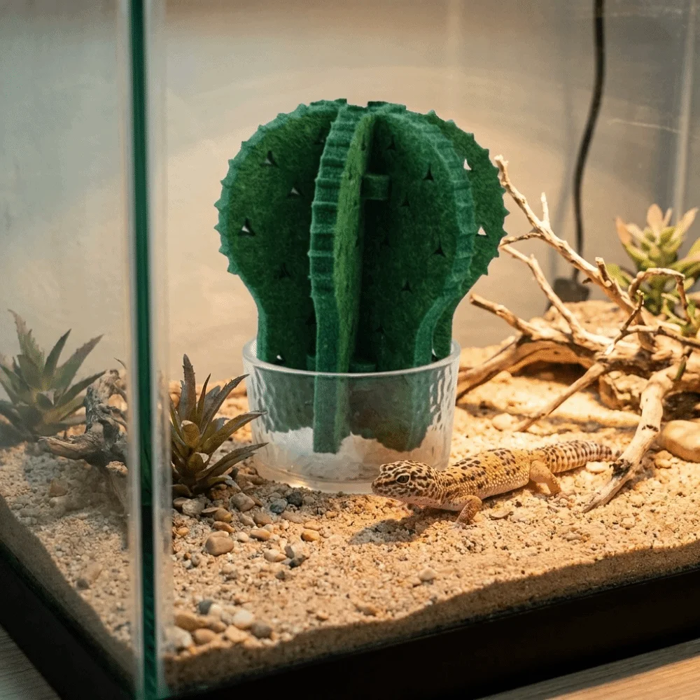 Humidificador para reptiles con diseño de cactus decorativo