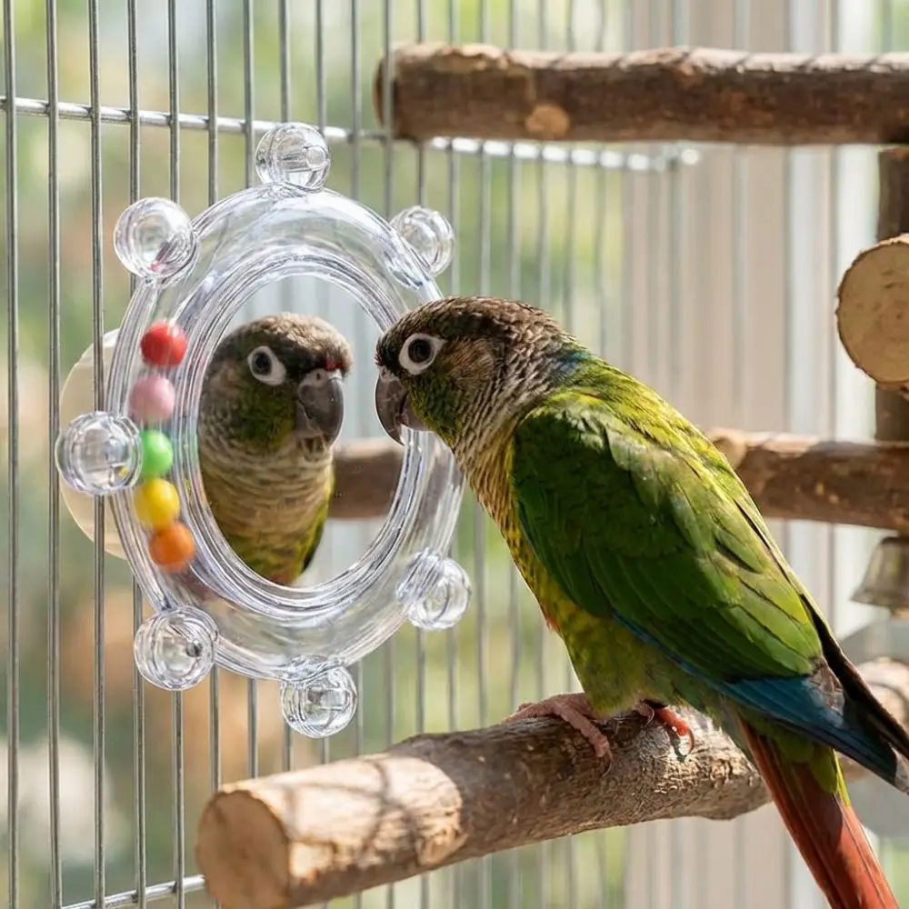 Juguete giratorio para loros con espejo y campana resistente a mordidas - imagen 2