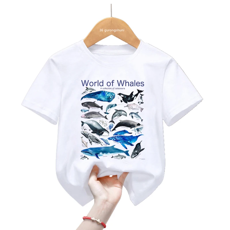 Camiseta World of Whales de delfines para niños – Manga corta verano - imagen 5