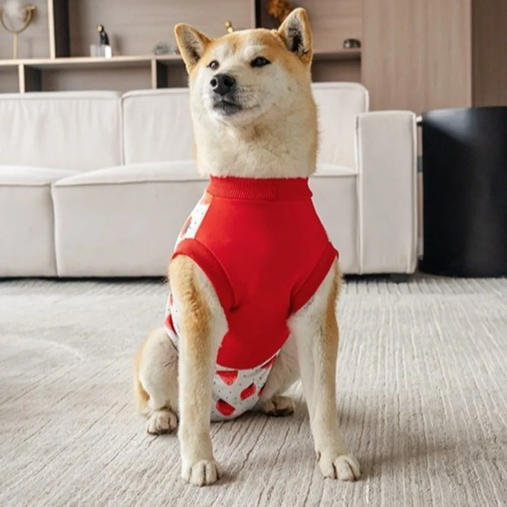 Traje de recuperación transpirable para perros con alta elasticidad - imagen 5