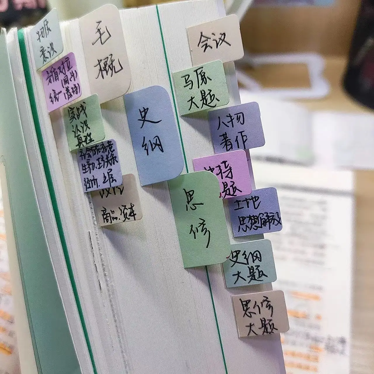 Etiquetas escolares reutilizables impermeables removibles para libros - imagen 4
