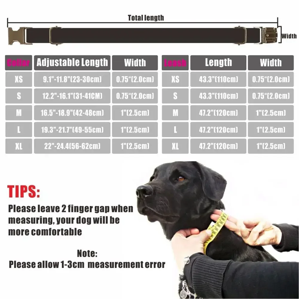 Collar para perro personalizado con grabado gratuito – Correa a juego - imagen 2