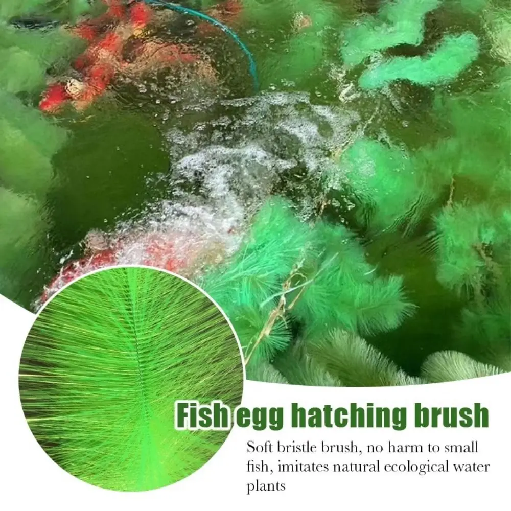 Filtro para estanque de peces: limpieza exterior de acuario