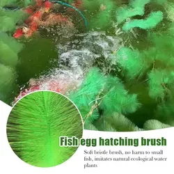 Filtro para estanque de peces: limpieza exterior de acuario