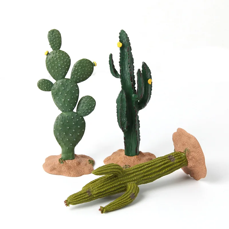 Miniaturas de cactus y baobab – Juguete educativo para niños - imagen 4