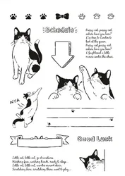 Sello de gato silicona transparente para niños – Manualidades diarios