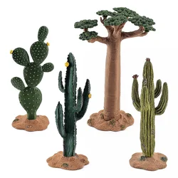 Miniaturas de cactus y baobab – Juguete educativo para niños