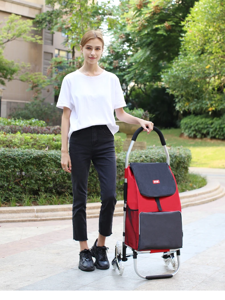 Carrito plegado y fácil de transportar