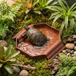 Plato de agua antideslizante para tortugas con rampa