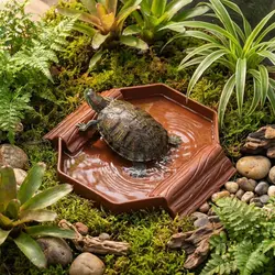 Plato de agua antideslizante para tortugas con rampa