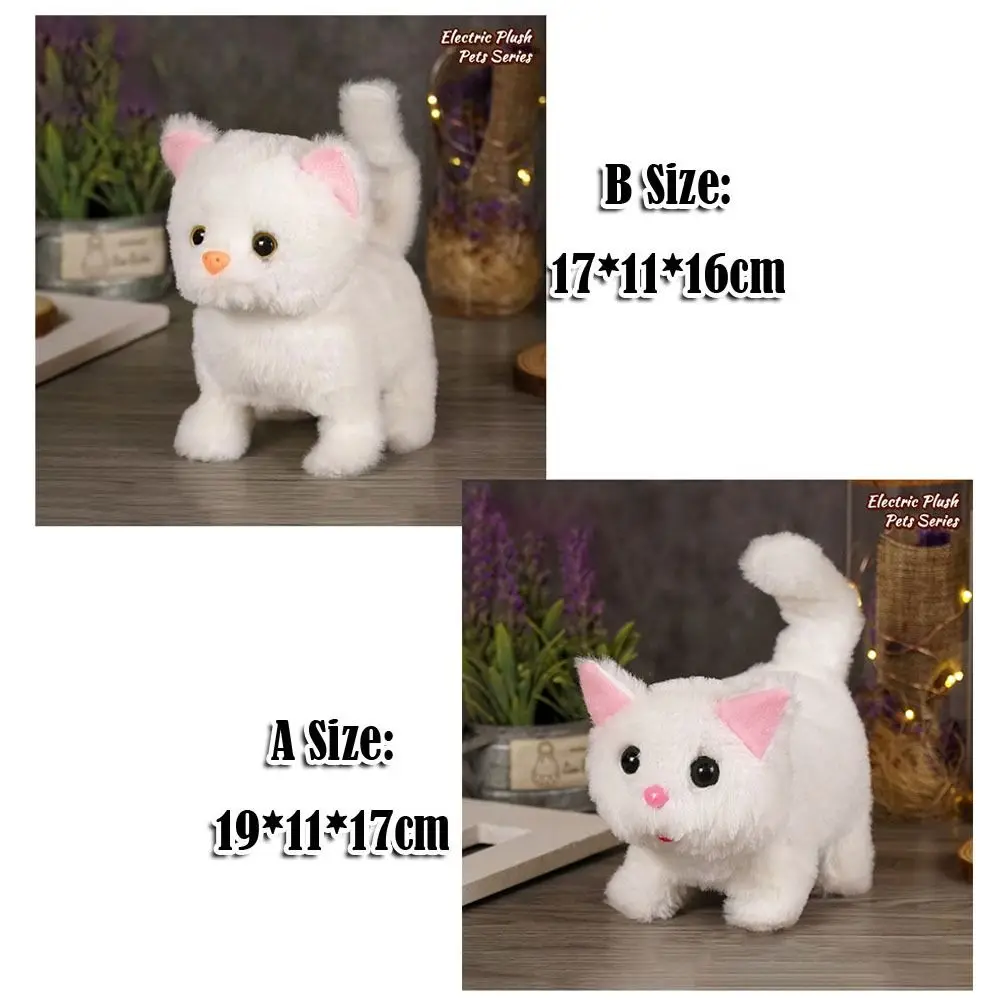 Gatito caminando - vista frontal
