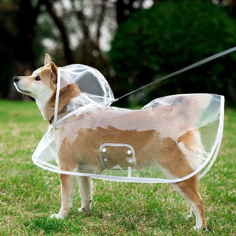Impermeable para perros grandes transparente y cortavientos - imagen 3