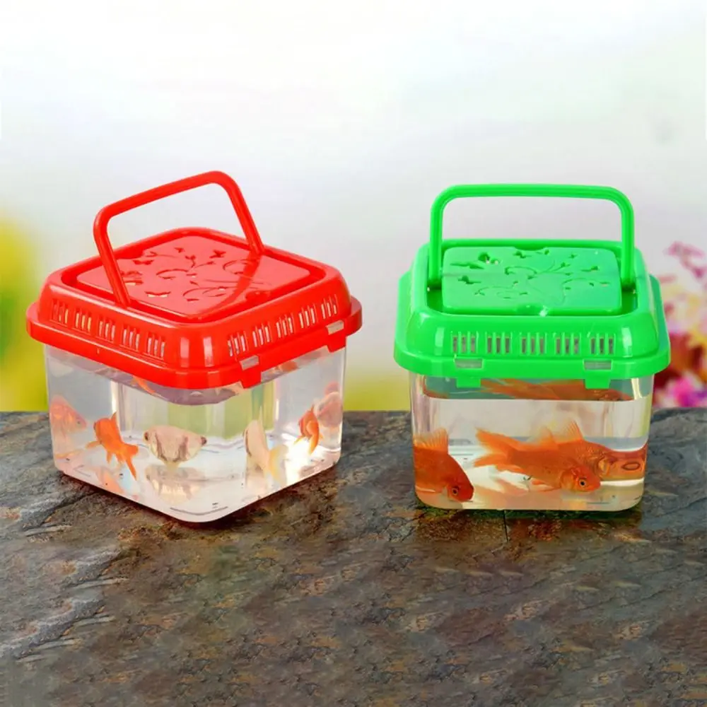Pecera portátil para mascotas: mini terrario de plástico - imagen 3