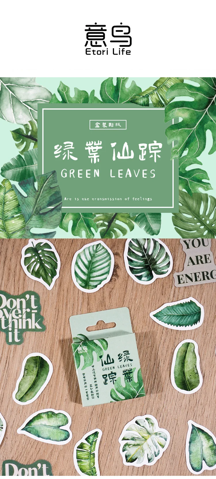 Detalle del diseño de plantas