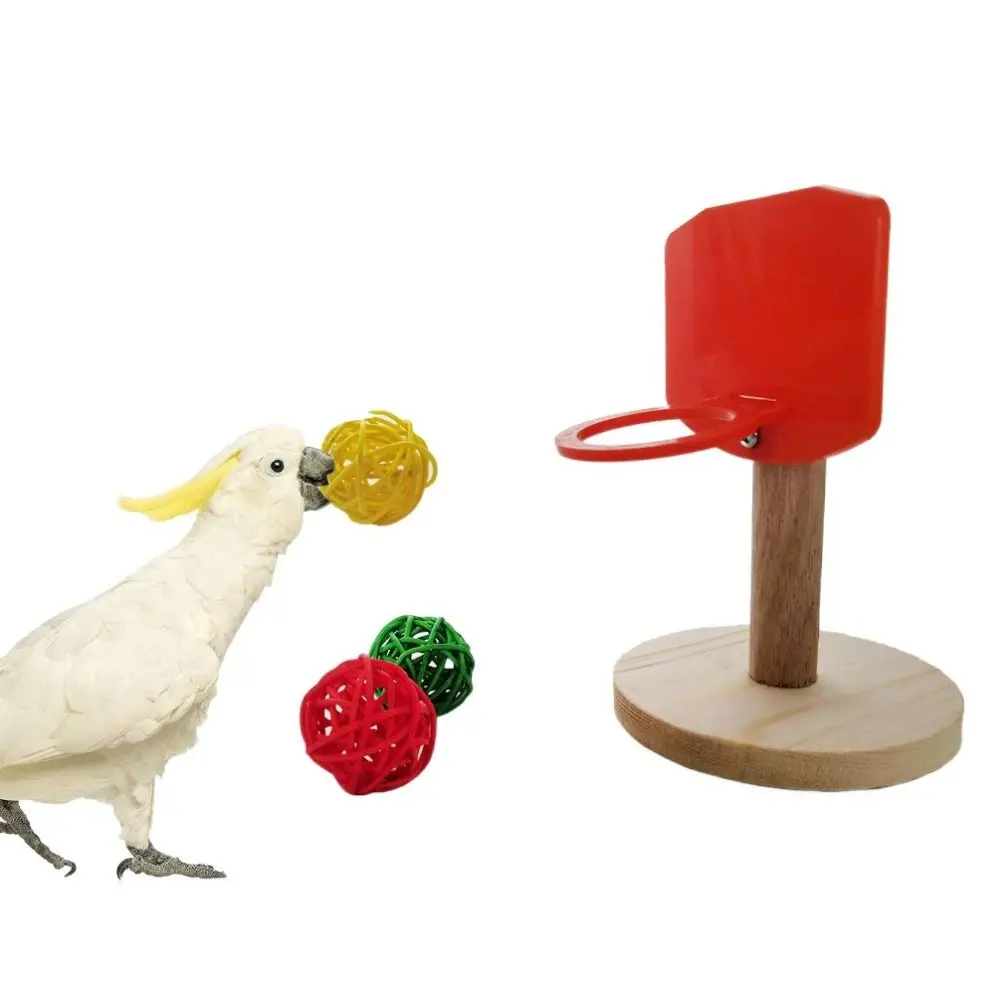 Juguete de baloncesto para pájaros visto desde arriba