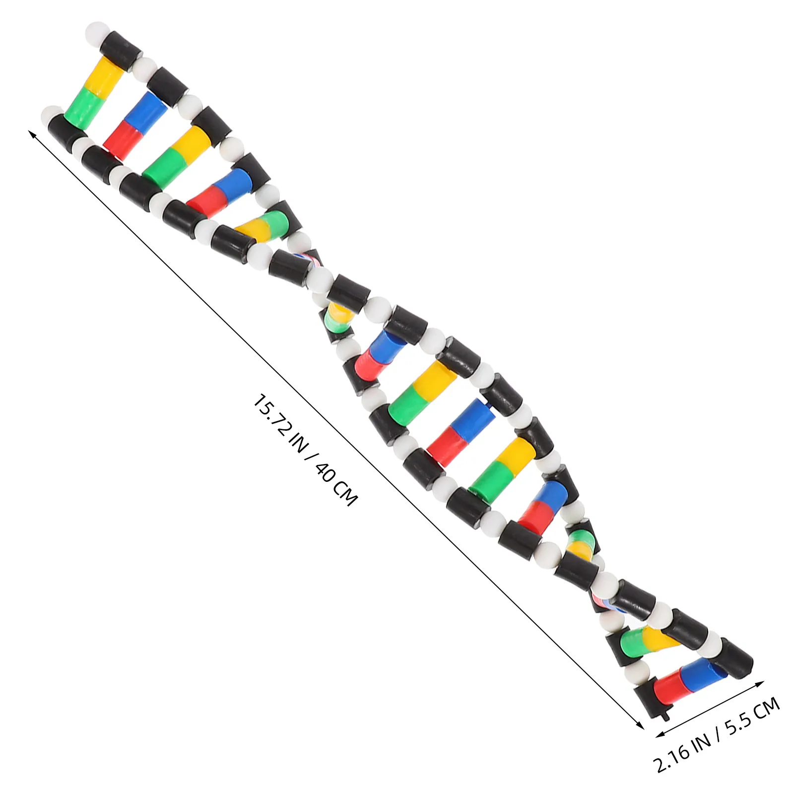Modelo de ADN doble hélice tridimensional para aprender en clase - imagen 2