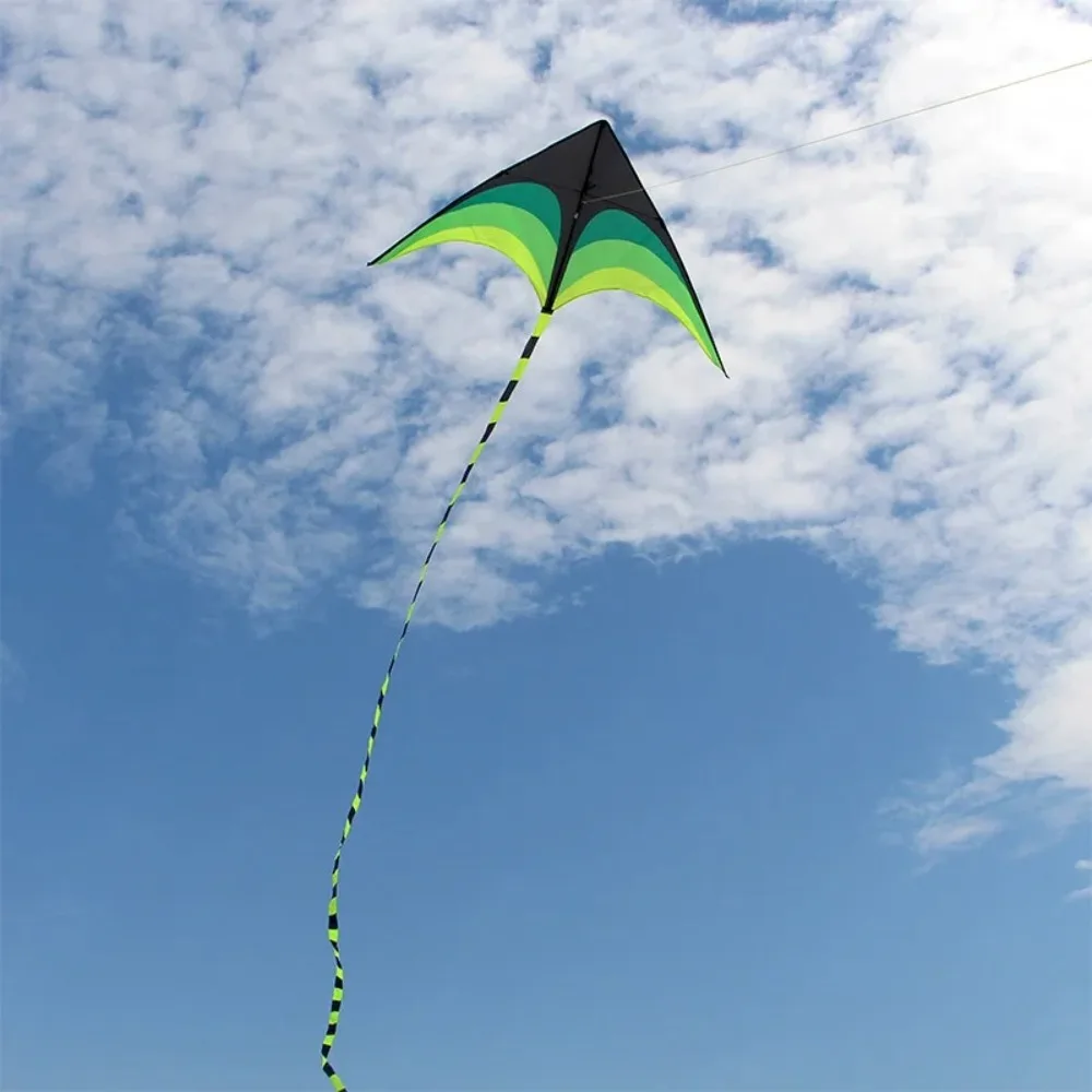Easy Fly cometa Delta arcoíris Ripstop con cola larga