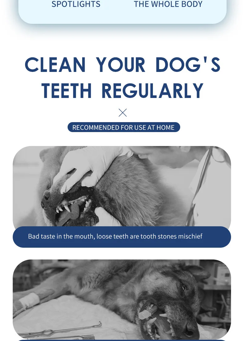 Cuidado dental con herramienta portátil